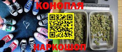 apvp Нальчик