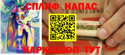 apvp Нальчик