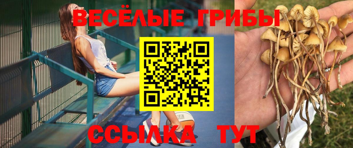 Галлюциногенные грибы ЛСД  Вход с VPN  как найти закладки  Рославль 